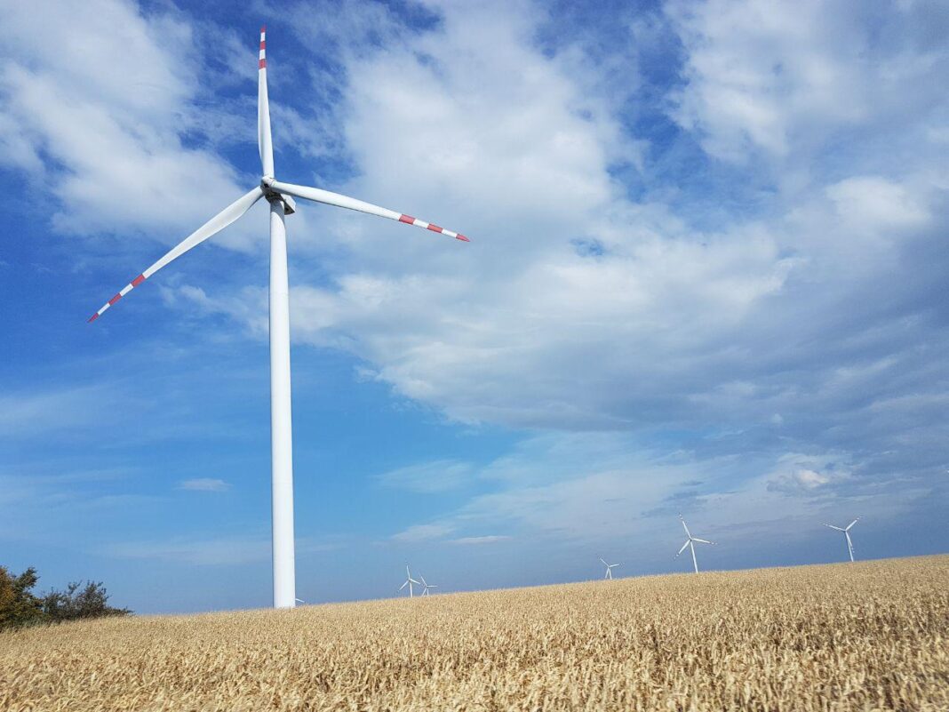 Farmy wiatrowe na Podkarpaciu. Fot. BiznesAlert.pl/Piotr Stępiński