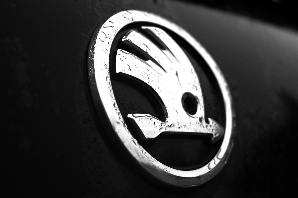 skoda logo skody