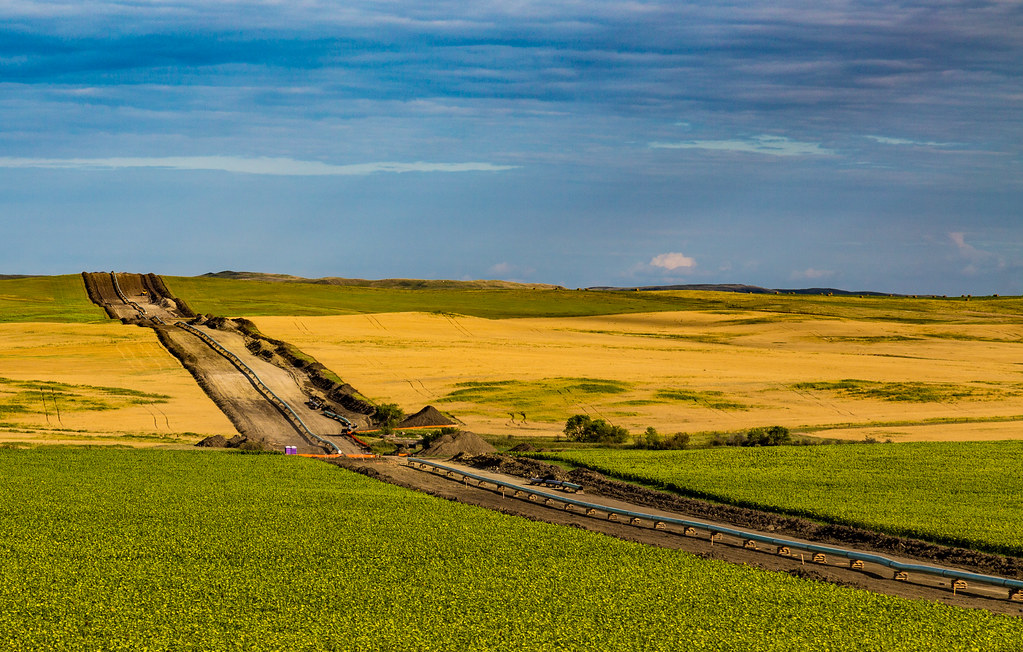 DAPL