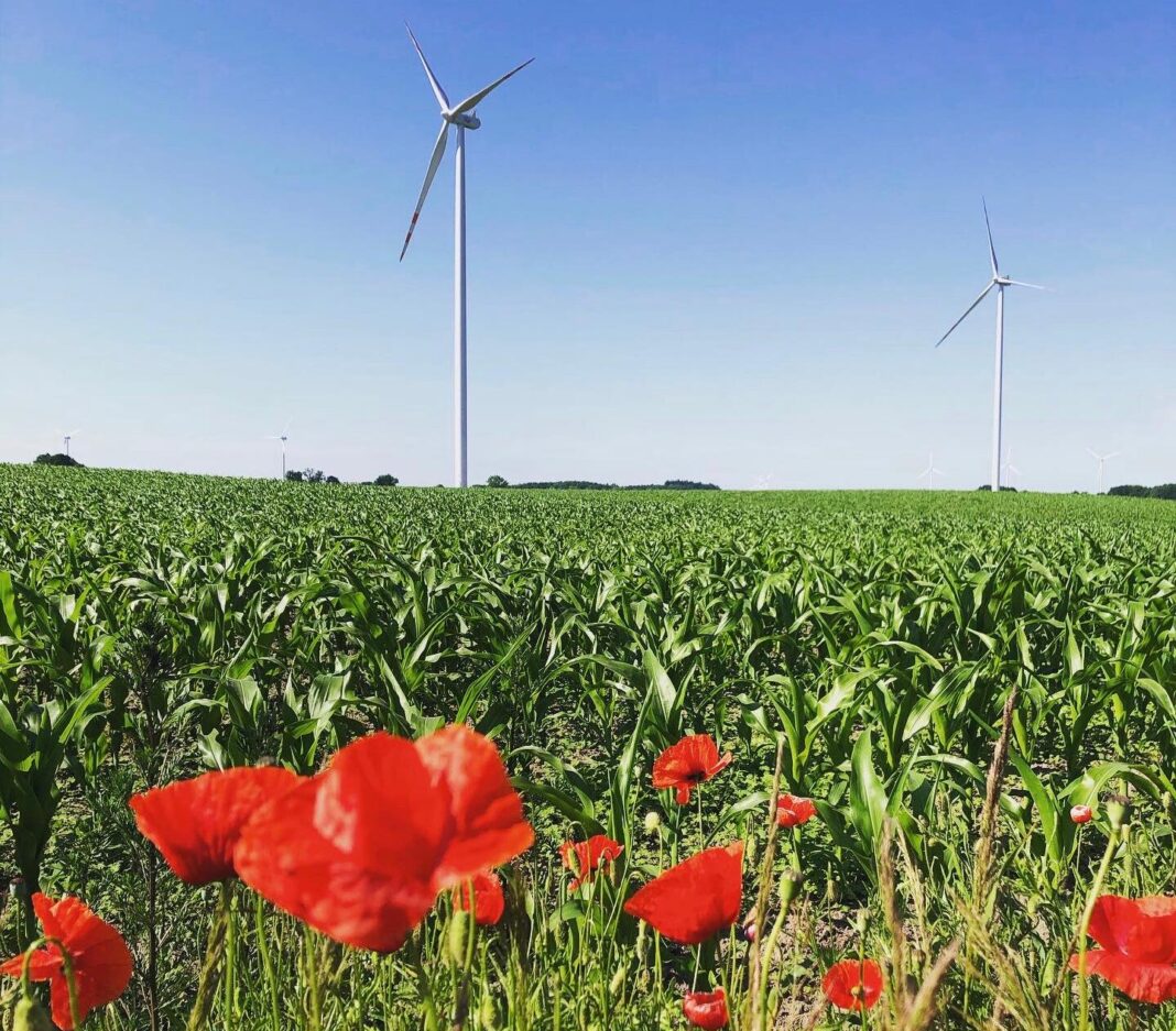 Farma Wiatrowa Starza/Rybice PGE. Fot.; Bartłomiej Sawicki/BiznesAlert.pl