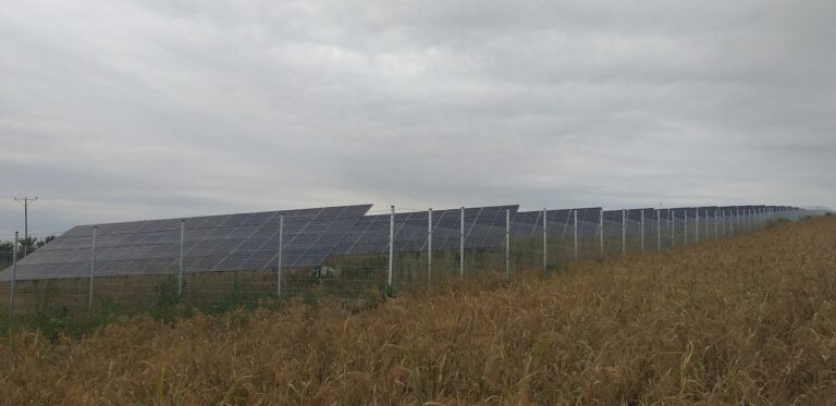 PV Bliskowice w województwie lubelskim. Fot. PGE EO