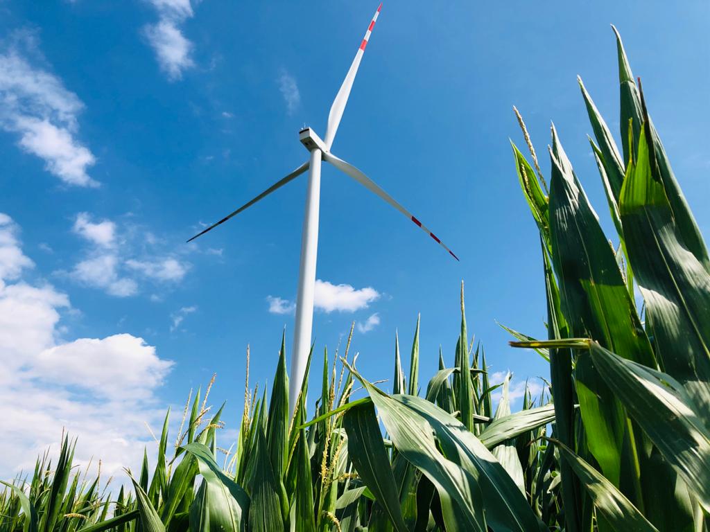 Farma wiatrowa Koźmin Wielkopolski, WPD. Fot. Bartłomiej Sawicki/BiznesAlert.pl