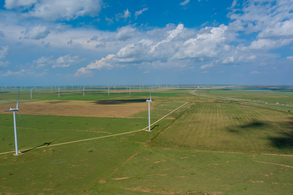 Fot. Lądowa farma wiatrowa. Źródło: Freepik.com.