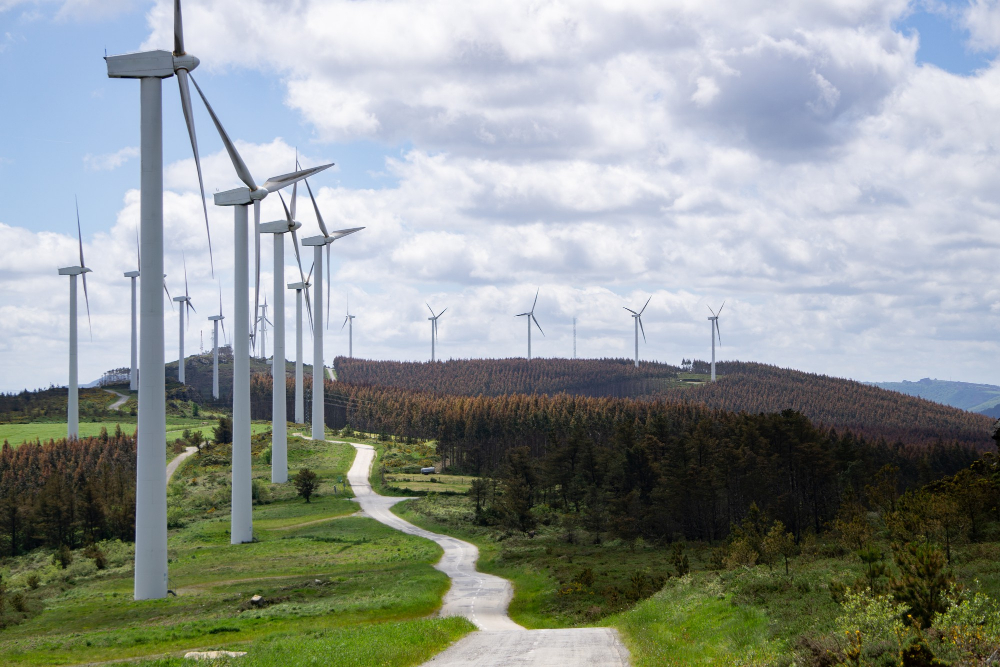 Fot. Lądowa farma wiatrowa. Źródło: Freepik.com.